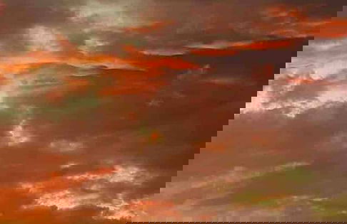 Cabane Tiny Tree House no4 - Foto 34