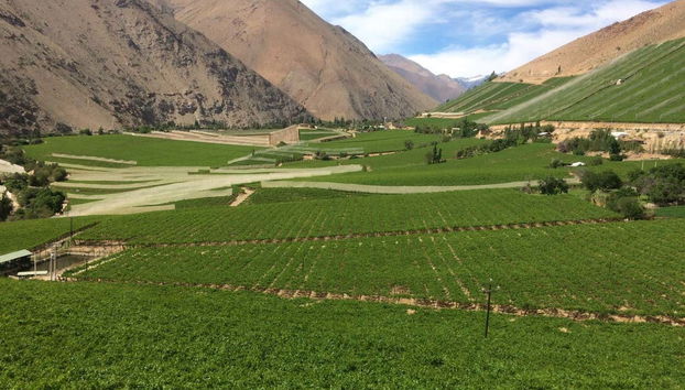 Praderas del valle del Elqui