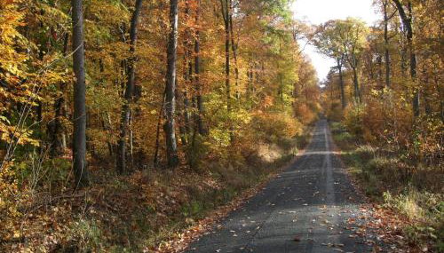 Ferienwohnung Bockelt - Foto 2