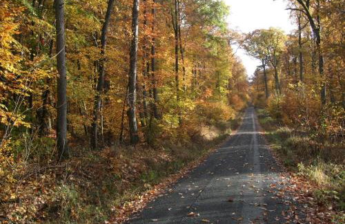 Ferienwohnung Bockelt - Foto 2