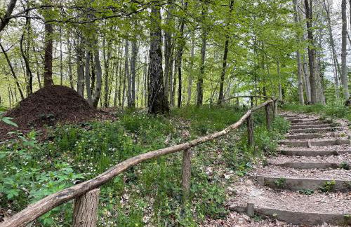 Wehr Orchidee Apartment - Foto 32