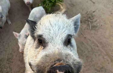 Relaxing Modern stay on a Ranch - Foto 60