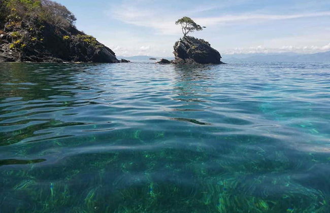 Cayos Cochinos Tour - Photo 2