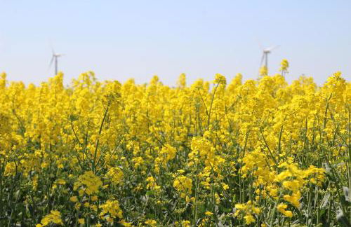 Fiskerhytte - Meine Fischerhütte - Foto 13