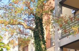 Apartament Wyspa, 2 pokoje, parking gratis - Foto 36