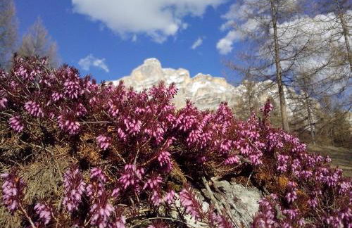 Villa Hilde - Foto 9