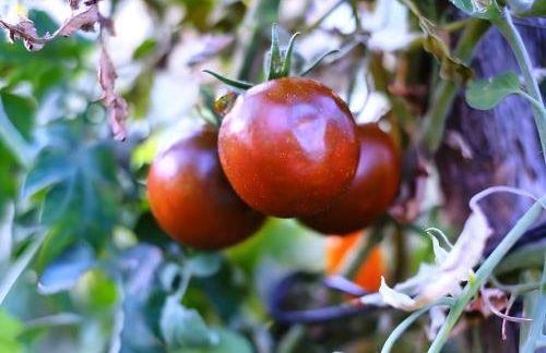 Luna D'Agerola - Foto 75