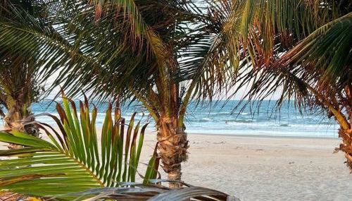 Jurema Branca Villa - Foto 2