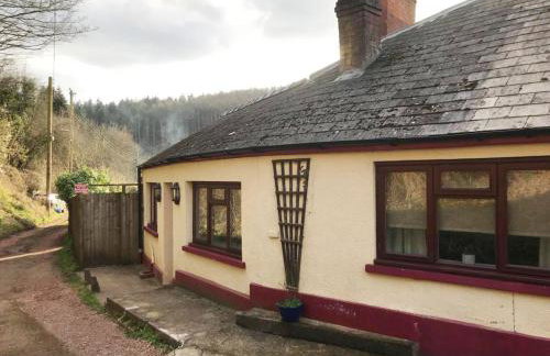 Walker's Rest - Photo 52