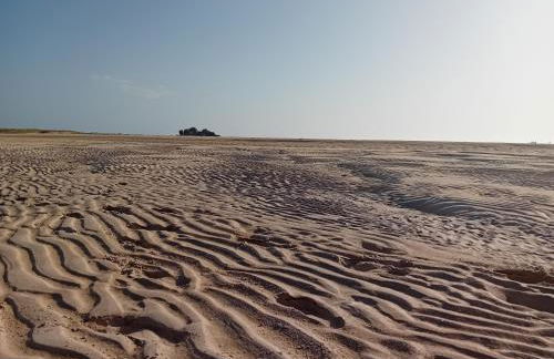 A PINTEGA DAS DUNAS - Foto 45