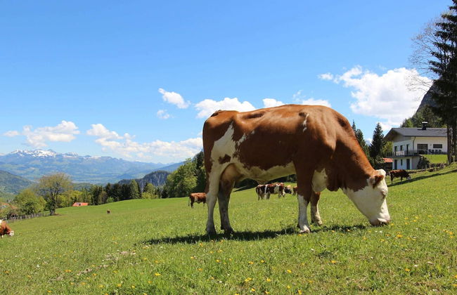 Modern Apartment in Fieberbrunn With Sauna - Foto 23