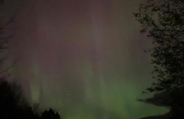 The Disco Den on Toad Road - Photo 36