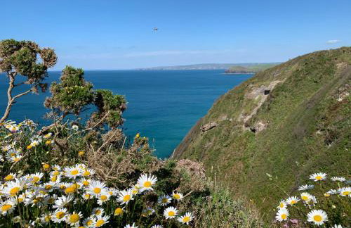 St. Kew Shepherd Huts - Foto 27