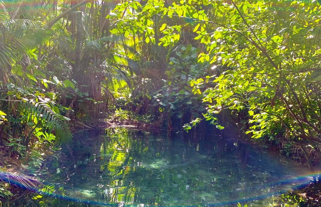 Cocal da Estação and Frecheiras Day Trip - Foto 4