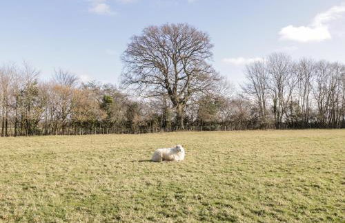 Deer Lodge - Photo 28