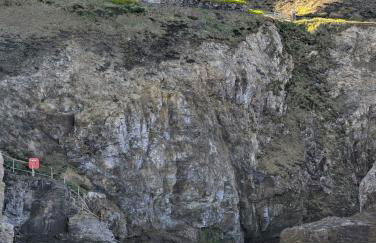 cellar cove - Foto 19