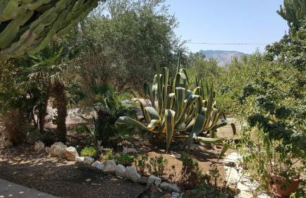Villa Alba - Foto 13
