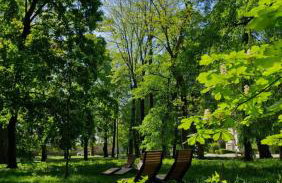 Apartament przy Parku Saskim (600 metrów od Ratusza) - Foto 42