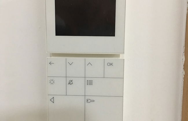 Sahara Falcon - Foto 71