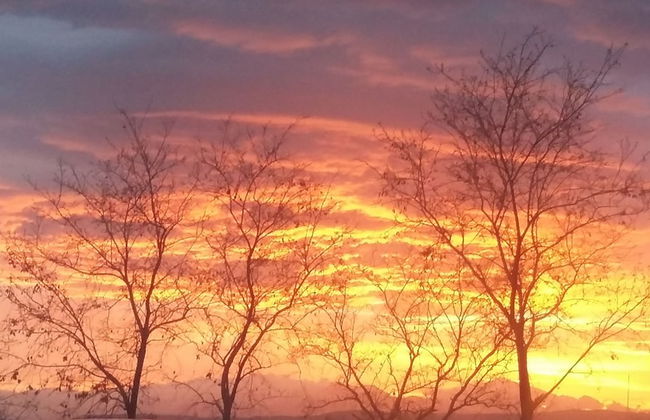 Oca Giuliva - Foto 40