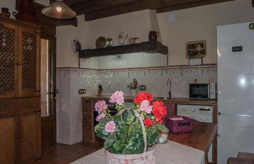 La Fuente del Pinar - Foto 35