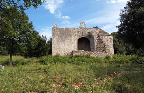 Apartment Asparagus - Photo 33