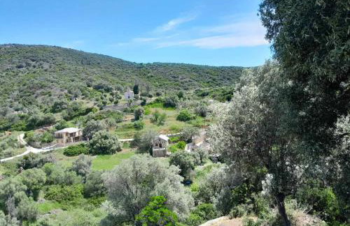 Emerald House - Foto 20