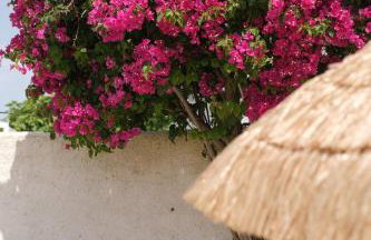 The Wooden House near the beach - Foto 42