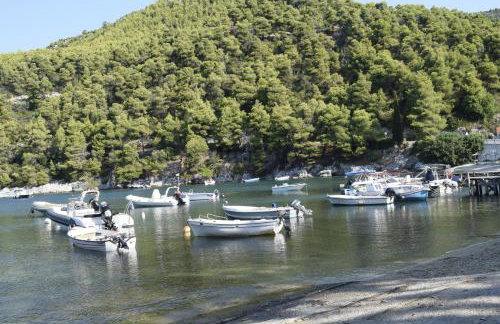 Lemon House - Foto 43