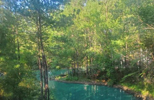 Waterfront Treehouse in a Magical Forest - Foto 19