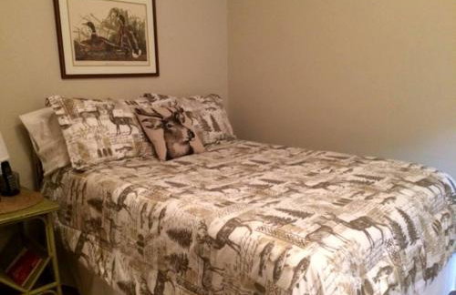 Cozy Three-Bedroom Cabin Near The Salmon River in Altmar, New York - Foto 6