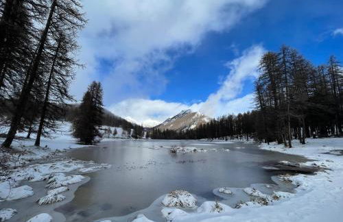 AU PIED DES PISTES D'ARVIEUX - Foto 41