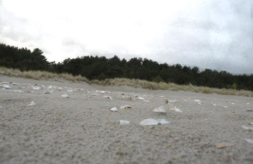 Ferienhaus Rubin mit Sauna und Kamin, Reetdachhaus am Walde - Foto 14