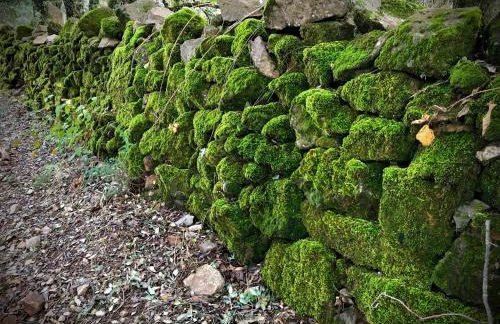 Casa Rural Sierra Tórtola 1 - Foto 77