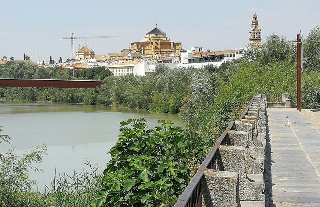 Patio de la Escalera, Santiago - Foto 39