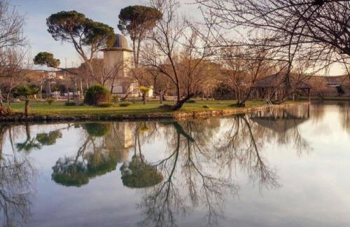 Apartamentos Buganvilla - Photo 23