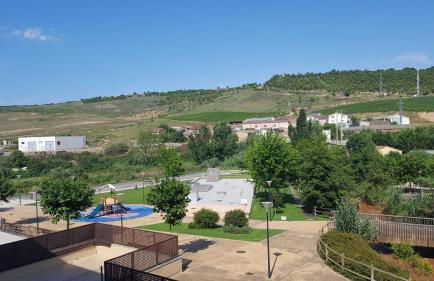 Apartamento ENTREVIÑAS en el corazón de La Rioja - Foto 18