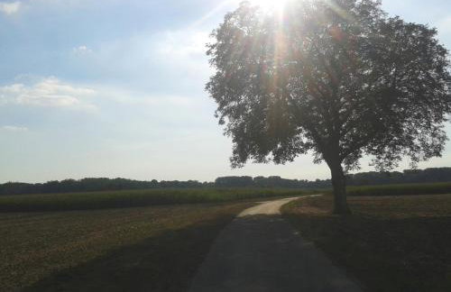 70qm Wohnung, 76771 Hördt, Naturschutzgebiet, Rheinland-Pfalz - Foto 20