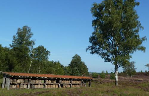 Haus Schwalbennest - Foto 20