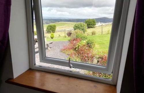 Bwthyn Plas Hafod Cottage - Photo 20