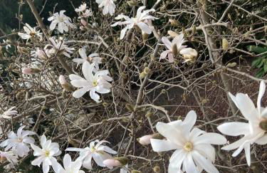 Casa Bosco - Photo 39