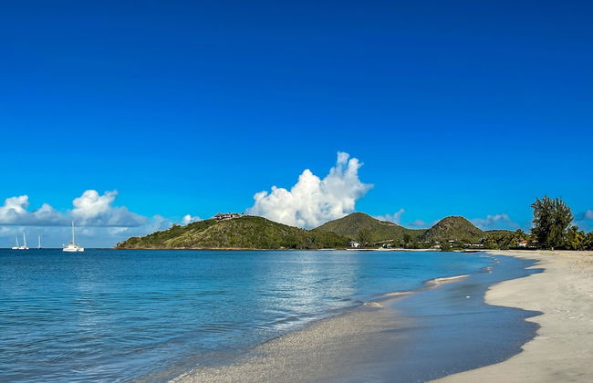 Villa Papillon - Photo 73