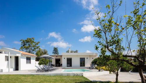 Angeliana Villa - Foto 2, Garden, sunbed, Garden view