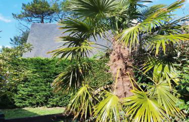 Les Sternes - Foto 39