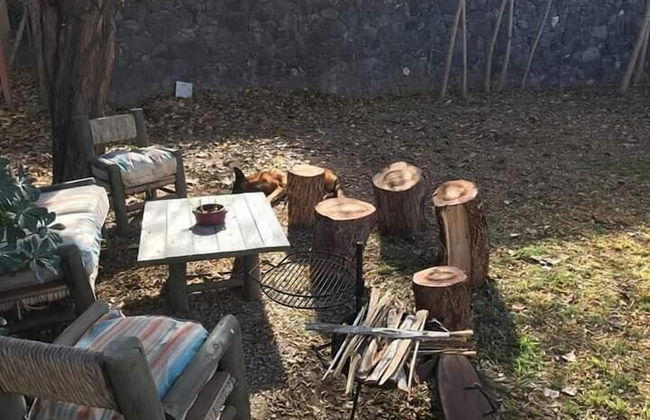 Dark Green House - Chacras de Coria - Photo 36