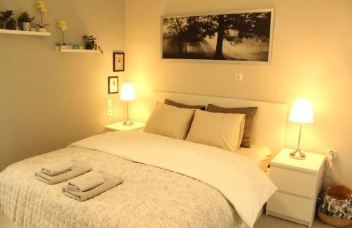 Panos modern country house - Photo 8