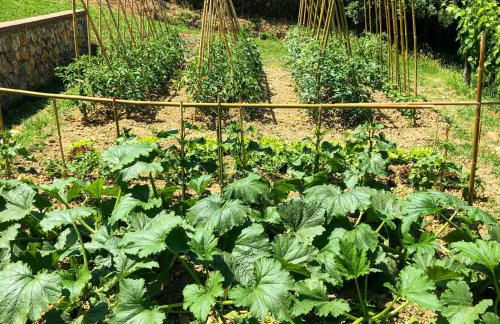 Podere Bellavista - Foto 82