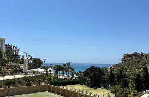 Sol Mediterráneo - Palm Beach 10 - Photo 11