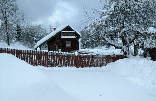 Góralski domek w Kluszkowcach - Foto 16