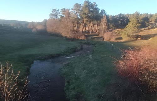 De Brevas A Higos - Foto 36